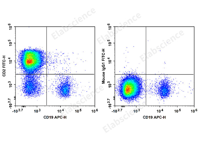 Human peripheral blood lymphocytes are stained with APC Anti-human CD19 Antibody and FITC Anti-Human CD2 Antibody[RPA-2.10] (Left). Lymphocytes are stained with APC Anti-human CD19 Antibody and FITC Mouse IgG1, κ Isotype Control (Right).