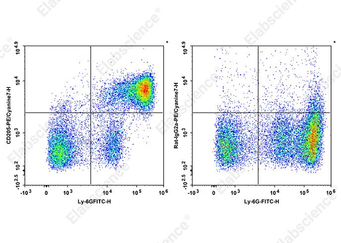PE/Cyanine7 Anti-Mouse CD205 Antibody[NLDC-145]-searchlist-1