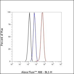Recombinant ATG9A Monoclonal Antibody - small - 4