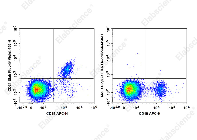 Elab Fluor® Violet 450 Anti-Human CD21 Antibody[HI21a]-1