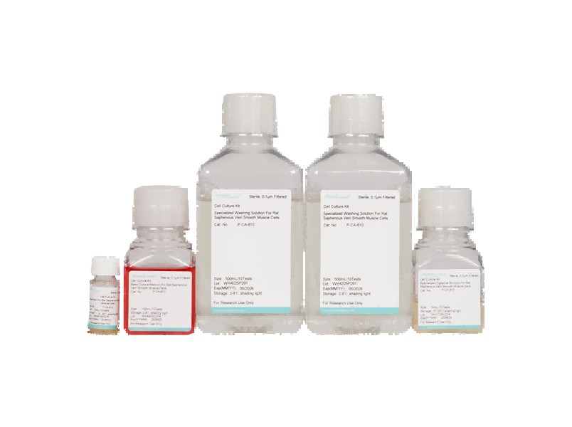 Rat Saphenous Vein Smooth Muscle Cell Isolation and Culture KitRat Saphenous Vein Smooth Muscle Cell Isolation and Culture Kit - 2