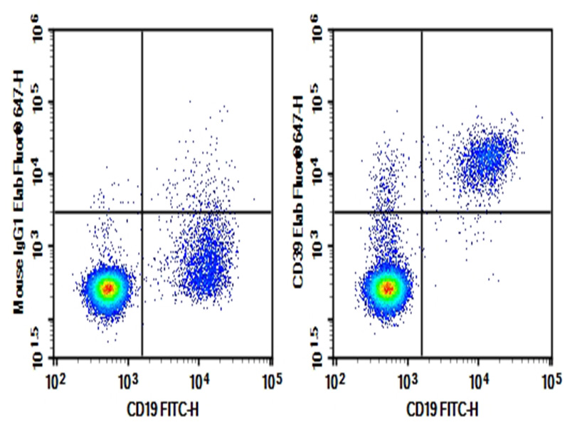 Purified Anti-Human CD39 Antibody[A1]-1