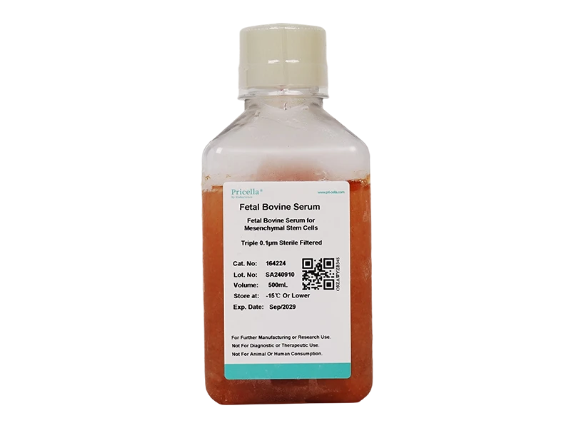 Fetal Bovine Serum for Mesenchymal Stem Cells