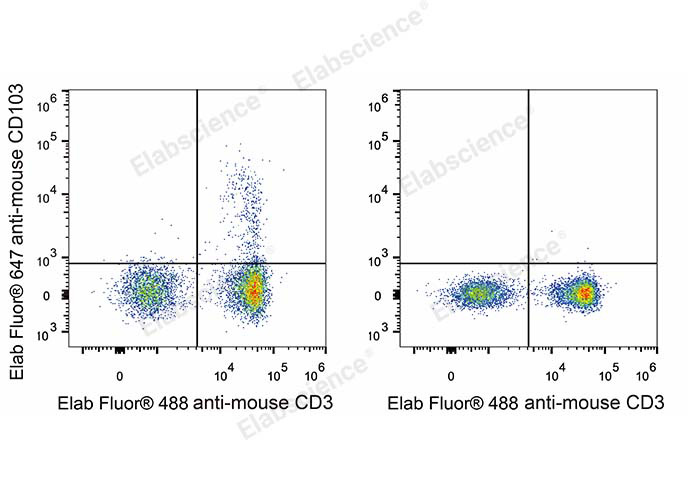 C57BL/6 murine splenocytes are stained with Elab Fluor® 647 Anti-Mouse CD103 Antibody and Elab Fluor® 488 Anti-Mouse CD3 Antibody (Left). Splenocytes stained with Elab Fluor® 488 Anti-Mouse CD3 Antibody (Right) are used as control.