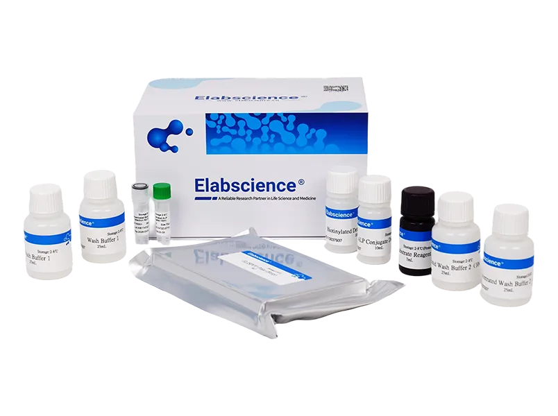 Mouse IFN-γ (Interferon Gamma) ELISPOT Kit
