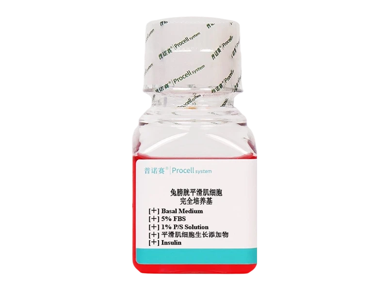 https://789.bio/ec/Cd40O6Gf