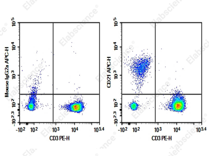 Purified Anti-Human CD21 Antibody[HI21a] - 1