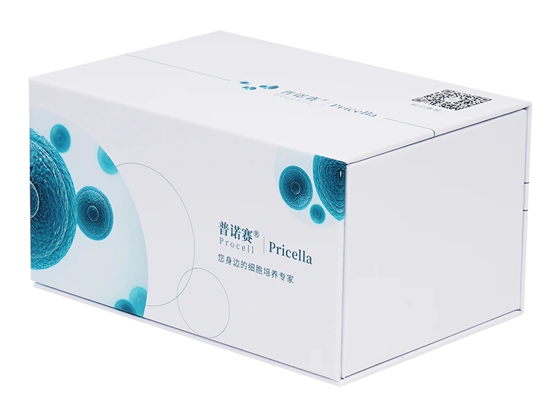 HK-2