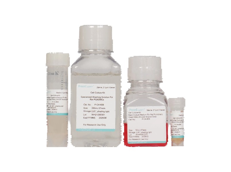 Rat Pulmonary Great Artery Smooth Muscle Cell Isolation and Culture Kit
