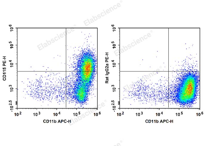PE Anti-Mouse CD115/CSF-1R Antibody[AFS98]-1