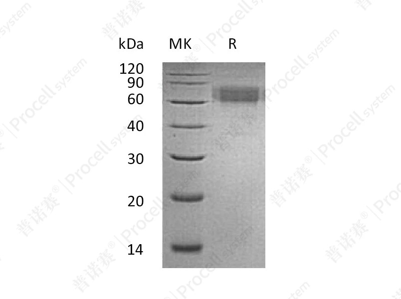 https://789.bio/ec/Cp1liP
