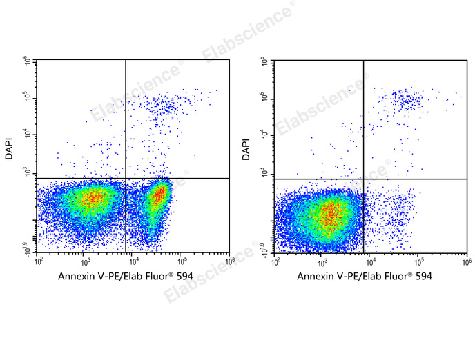 Annexin V-PE/Elab Fluor® 594/DAPI Apoptosis Kit-1