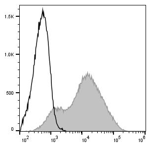 C57BL/6 murine lymphocytes are stained with PerCP/Cyanine5.5 Anti-Mouse Ly6A/E(Sca-1) Antibody (filled gray histogram). Unstained lymphocytes (empty black histogram) are used as control.