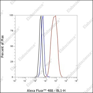 Recombinant DPEP3 Monoclonal Antibody - 2