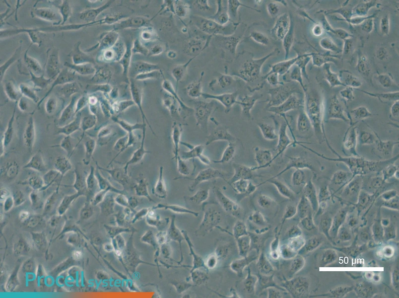 HBE135-E6E7 - 5