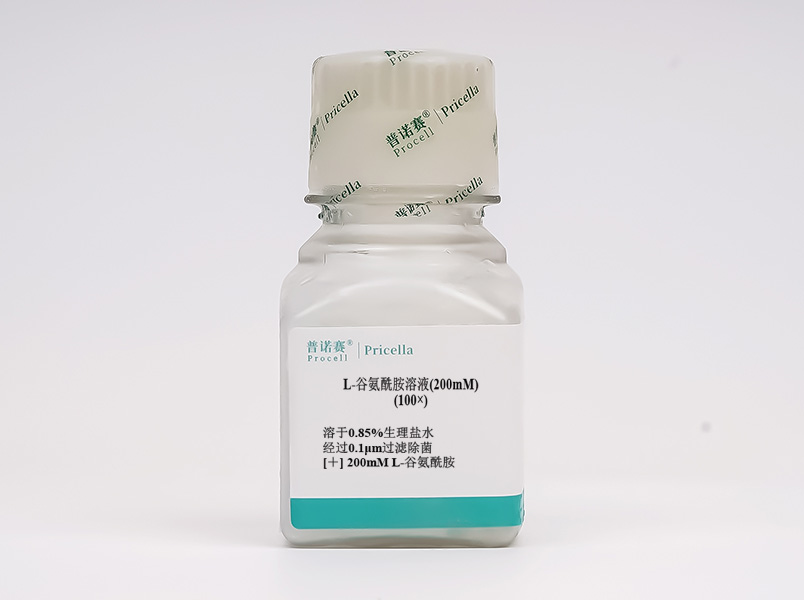 https://789.bio/ec/CtWWLK