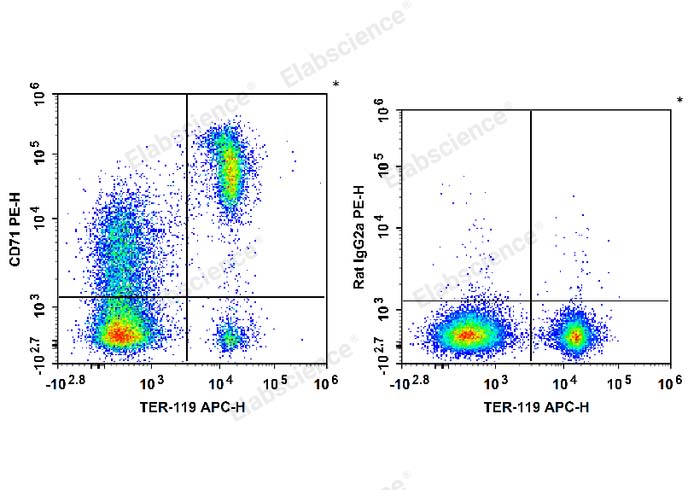 C57BL/6 murine bone marrow cells are stained with APC Anti-Mouse TER-119 Antibody and PE Anti-Mouse CD71 Antibody (Left). Bone marrow cells are stained with APC Anti-Mouse TER-119 Antibody and PE Rat IgG2a, κ Isotype Control (Right).