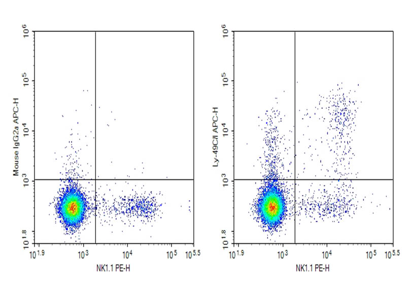 Purified Anti-Mouse Ly-49C/I Antibody[5E6] - 1