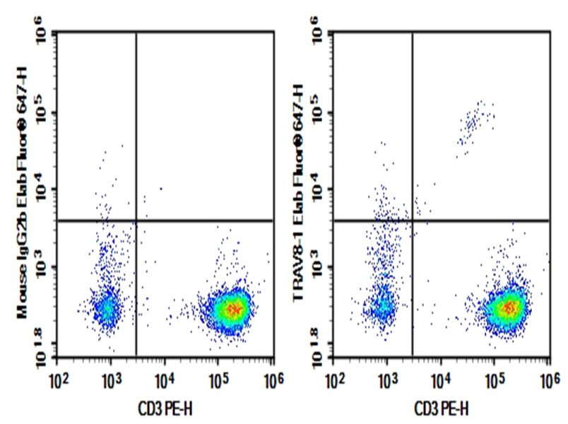 Purified Anti-Human TRAV8-1 Antibody[16G8]-1