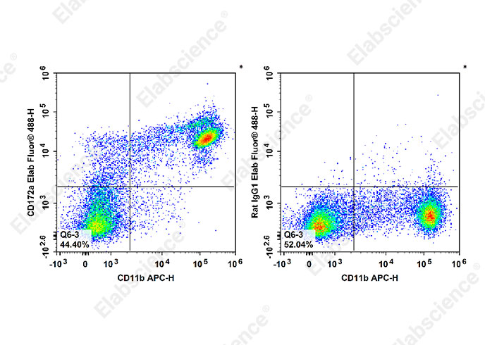 Elab Fluor® 488 Anti-Mouse CD172a/SIRPα Antibody[P84]-1