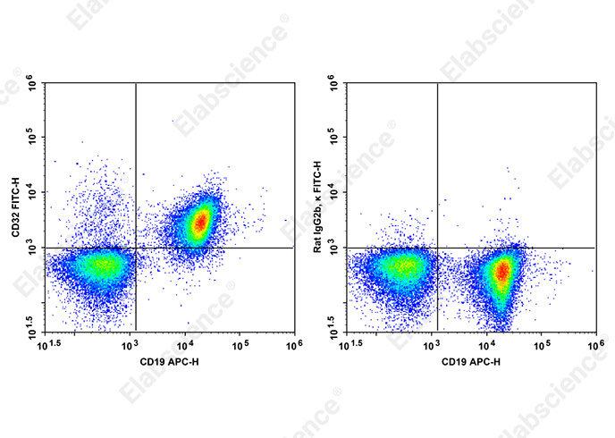 Purified Anti-Human TCRVβ13.1 Antibody[H131]-产品推荐-1