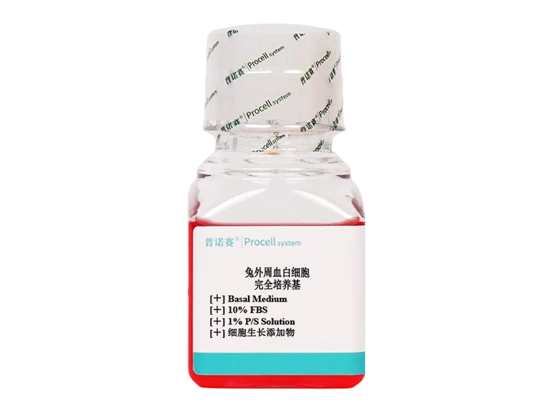 https://789.bio/ec/D1Yfs60j