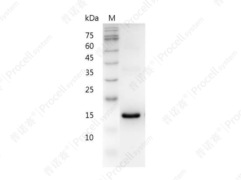 https://789.bio/ec/D48GR8