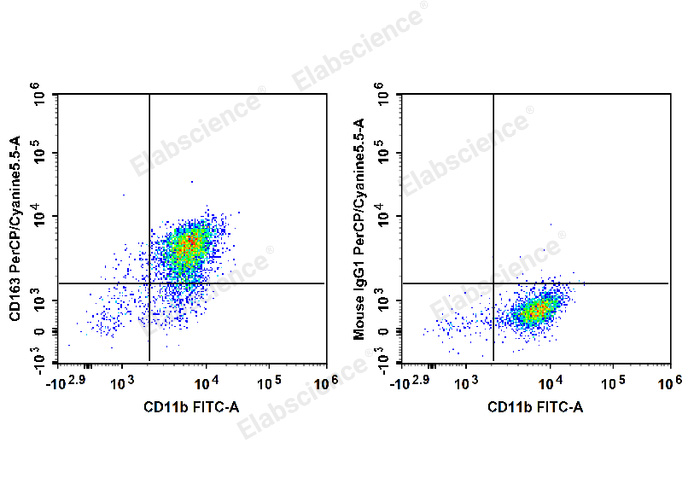 Human peripheral blood monocytes are stained with FITC Anti-Human CD11b Antibody and PerCP/Cyanine5.5 Anti-Human CD163 Antibody (Left). Monocytes are stained with FITC Anti-Human CD11b Antibody and PerCP/Cyanine5.5 Mouse IgG1,κ Isotype Control (Right).