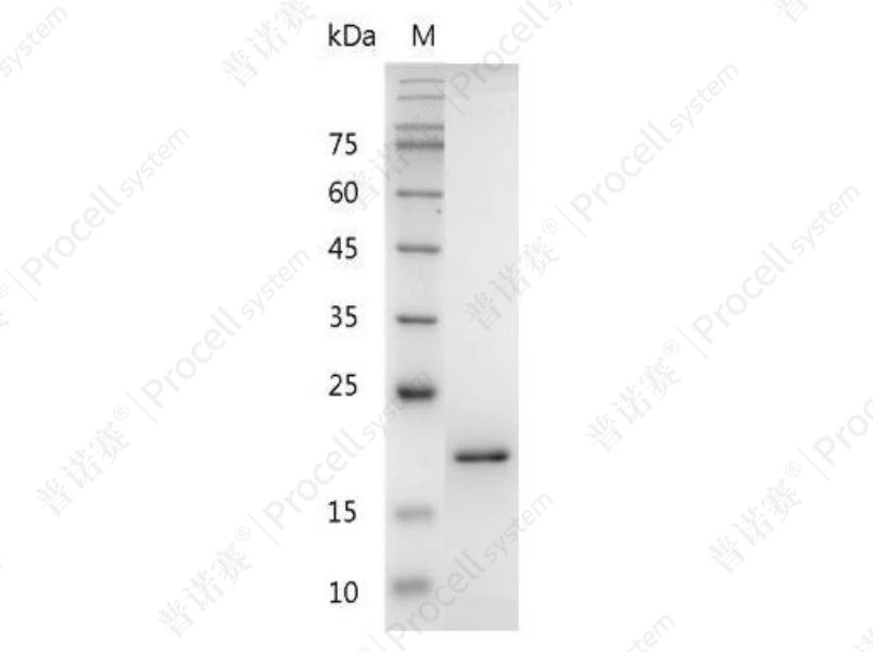 https://789.bio/ec/D84tPG