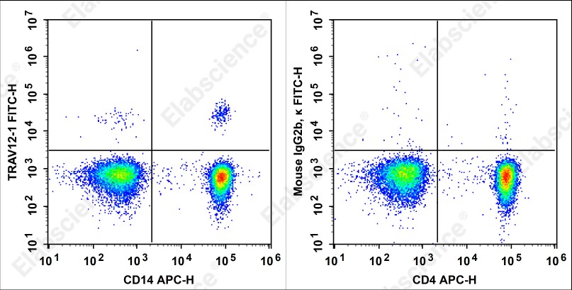 FITC Anti-Human TCRβV 12 Antibody[S511] - 1