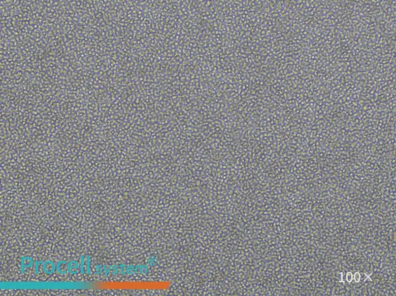 Daudi Cell Complete MediumDaudi Cell Complete Medium - 3