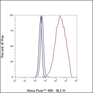 Recombinant FUBP1 Monoclonal Antibody - small - 8