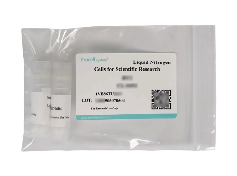 NFS-60