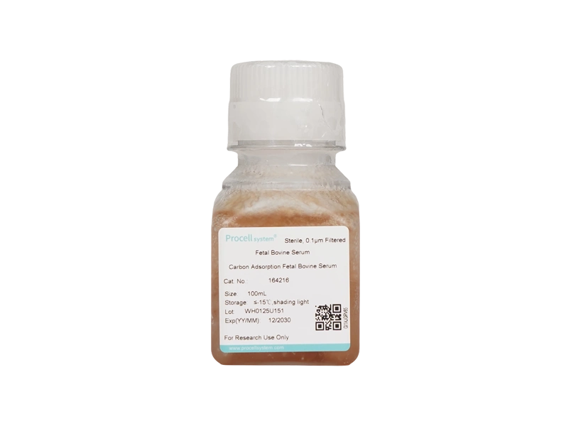 Charcoal Stripped Fetal Bovine Serum