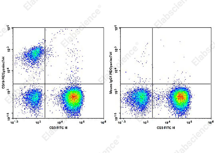 Purified Anti-Human CD138 Antibody[DL-101]-产品推荐-1