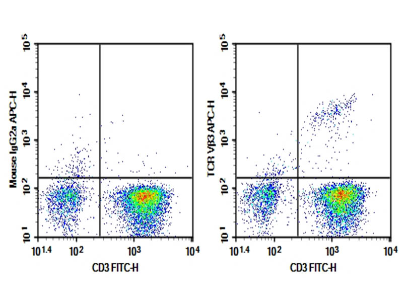 Purified Anti-Human TCR Vβ3 Antibody[JOVI.3]-searchlist-1