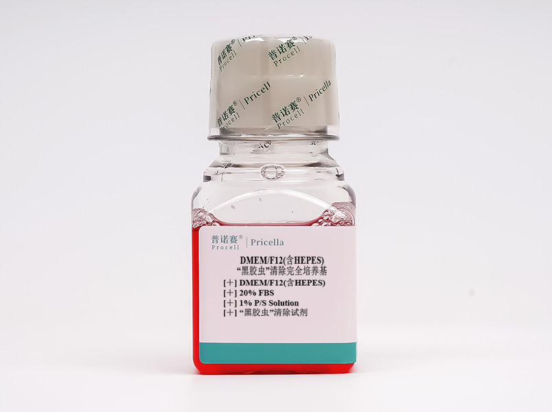 https://789.bio/ec/DK0O4R