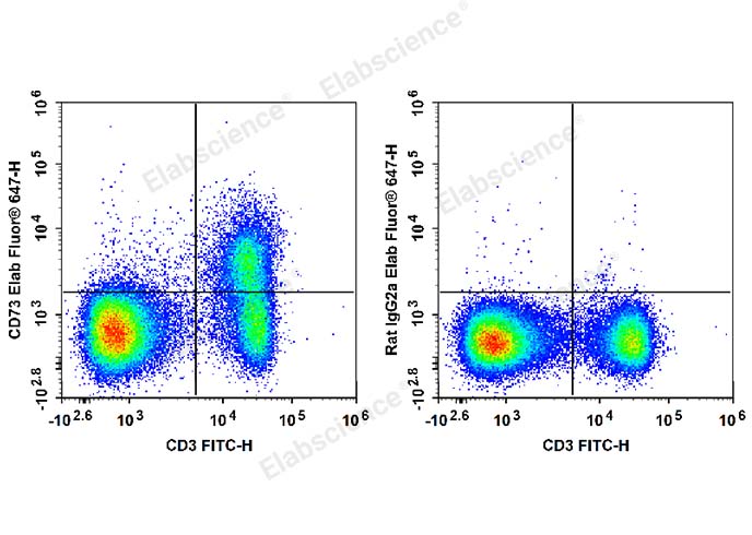 C57BL/6 murine splenocytes are stained with FITC Anti-Mouse CD3 Antibody and Elab Fluor® 647 Anti-Mouse CD73 Antibody (Left). Splenocytes are stained with FITC Anti-Mouse CD3 Antibody and Elab Fluor® 647 Rat IgG2a, κ Isotype Control (Right).