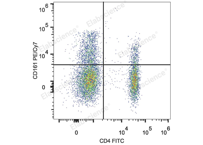 Human peripheral blood lymphocytes are stained with PE/Cyanine7 Anti-Human CD161 Antibody and FITC Anti-Human CD4 Antibody.