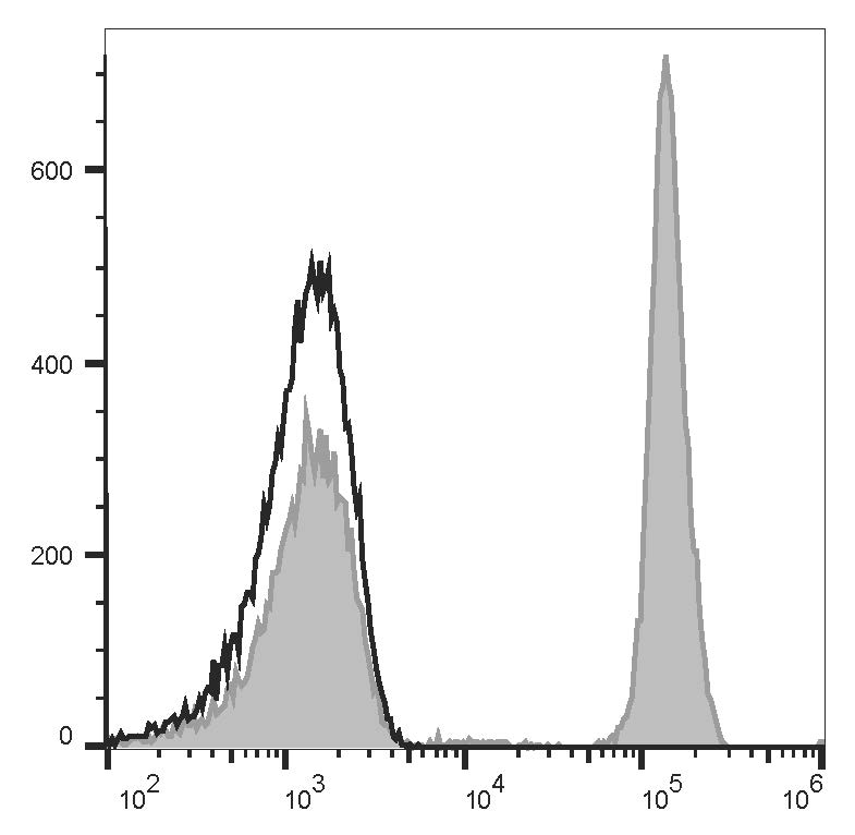 Purified Anti-Mouse CD172a Antibody[P84]-产品推荐-1