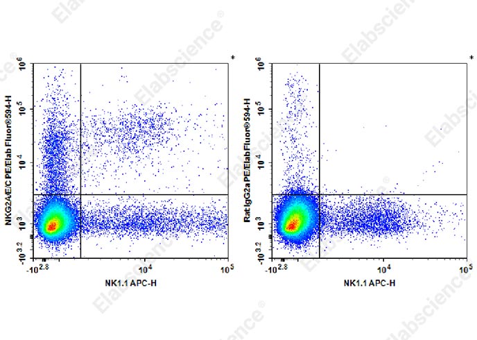 PE/Elab Fluor® 594 Anti-Mouse NKG2A/C/E Antibody[20d5]-1