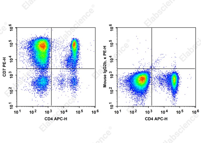 PE Anti-Human CD7 Antibody[3A1e] - 1