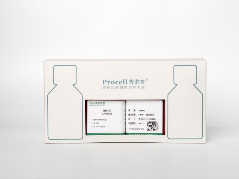 https://789.bio/ec/DR4V98