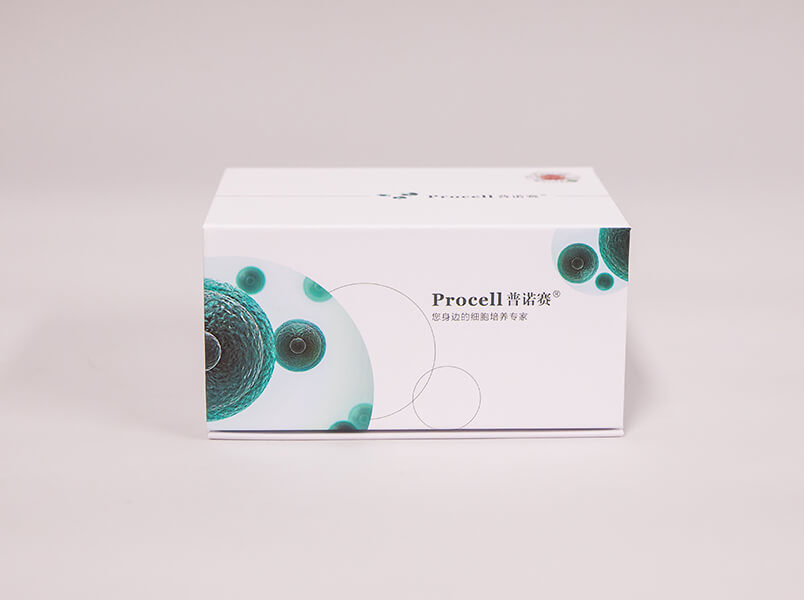 https://789.bio/ec/DRRpWD