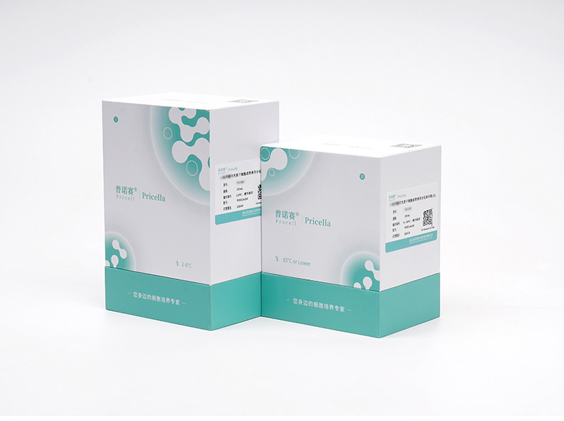 https://789.bio/ec/DRVq5C