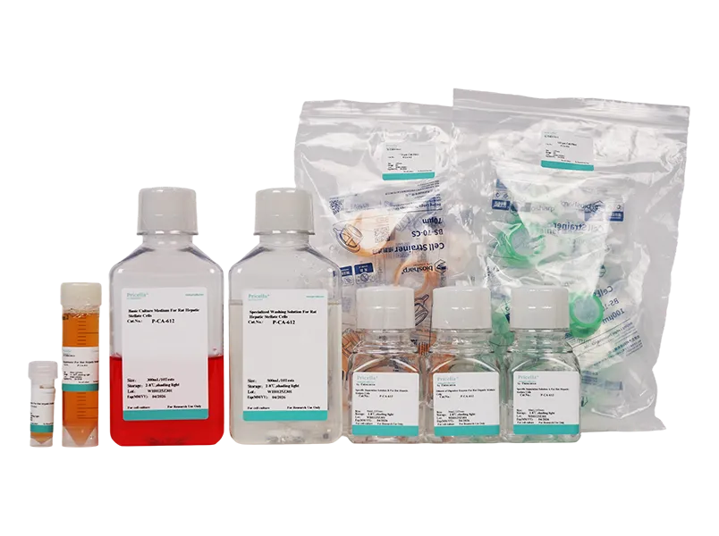 Rat Hepatic Stellate Cells Isolation and Culture Kit - small - 3