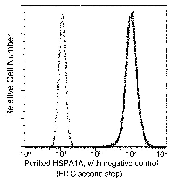 Recombinant HSP70/HSPA1A Monoclonal Antibody - small - 4
