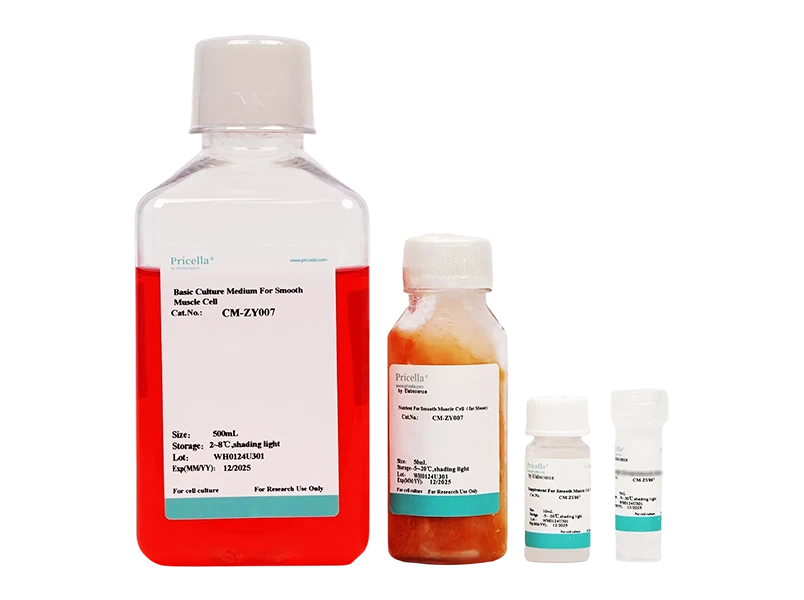 Smooth Muscle Cell Medium-Mouse (SMCM-m)-searchlist-1