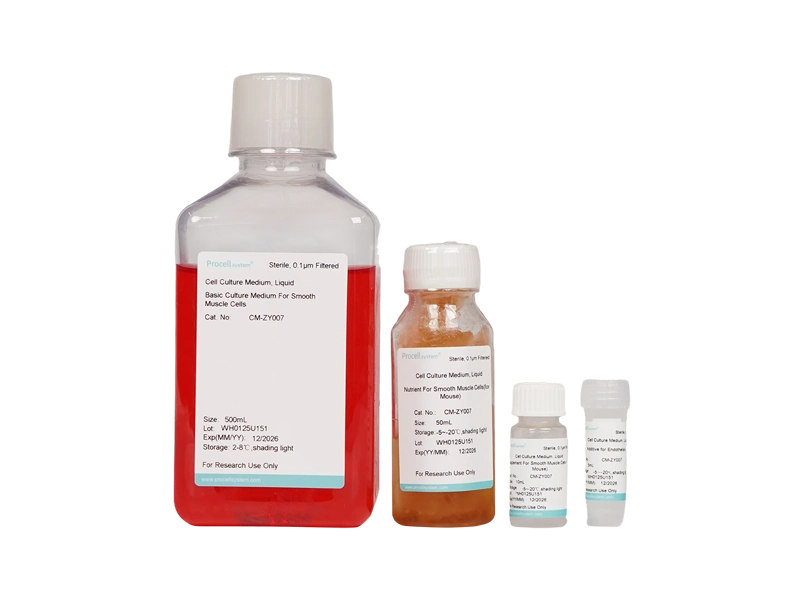 Smooth Muscle Cell Medium-Mouse (SMCM-m)