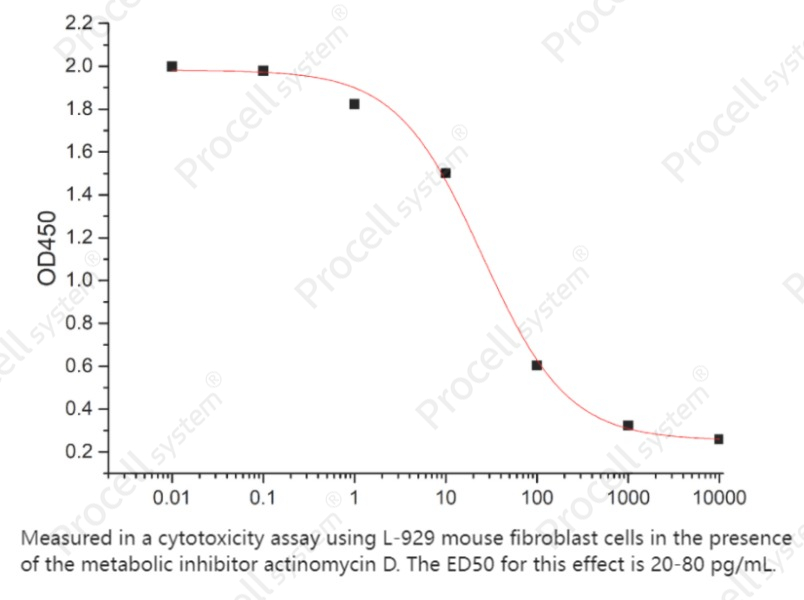 TNF-β/TNFB/TNFSF1, Human, RecombinantTNF-β/TNFB/TNFSF1, Human, Recombinant - 2